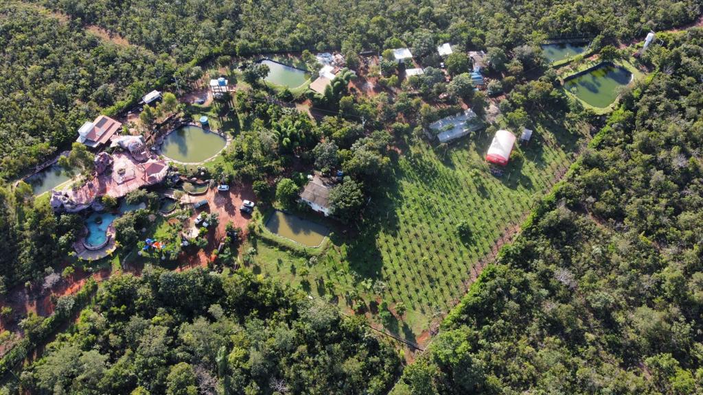 Vista aérea das plantações de pitaya